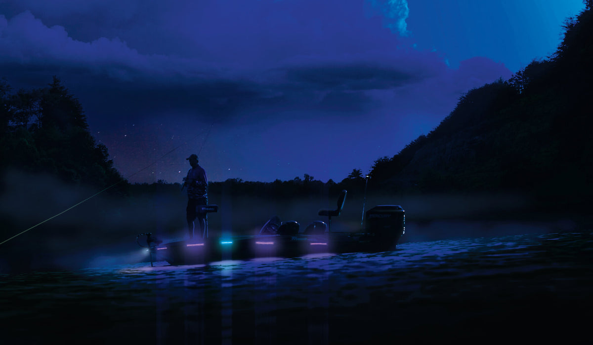 Lighted Rub Rails Rub Rail Lights – Precision Sonar & Outdoors